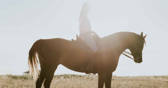 le soleil dessine la silhouette d'une femme a cheval