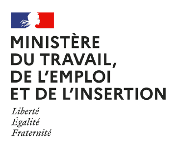 Logo du Ministère de travail de l'emploi et de l'insertion
